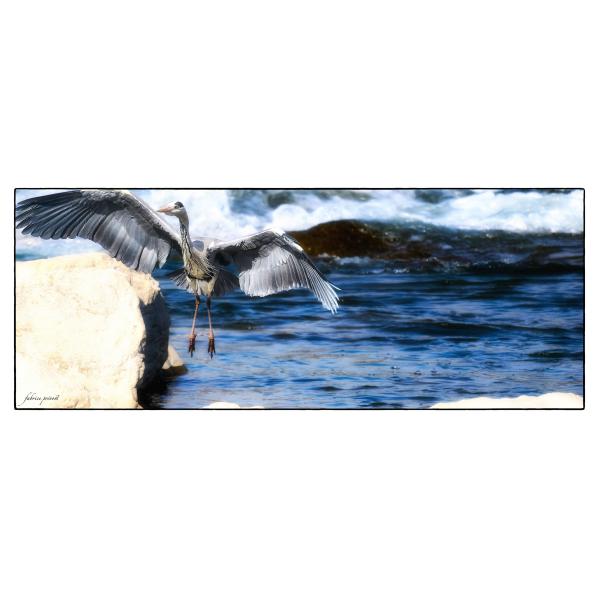 PHOTO84, CLUB, 84 , LUBERON